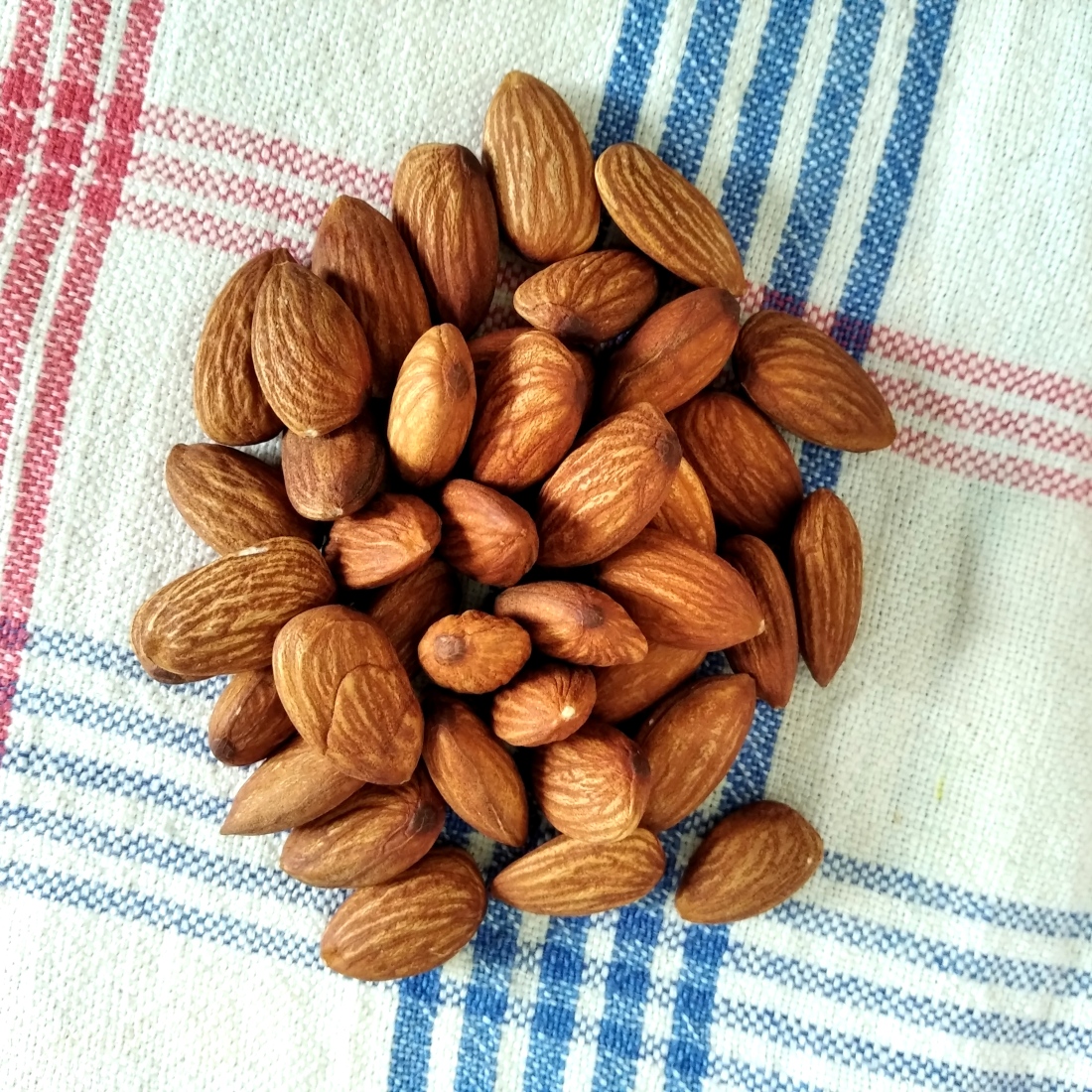 Healthy Almond Nuts in Bali